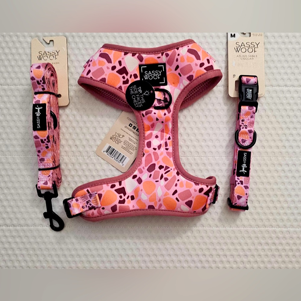 Sassy Woof Terrazzo Harness, Collar & Leash Set (S)
